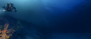 diving gloves detail