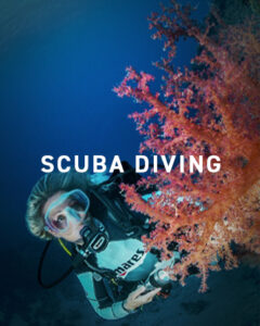 diving gloves detail