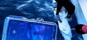 diving snorkeling detail